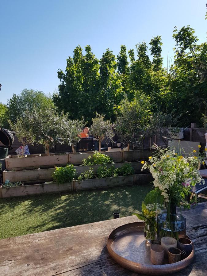 مبيت وإفطار تونجيرين Maison Sophie المظهر الخارجي الصورة